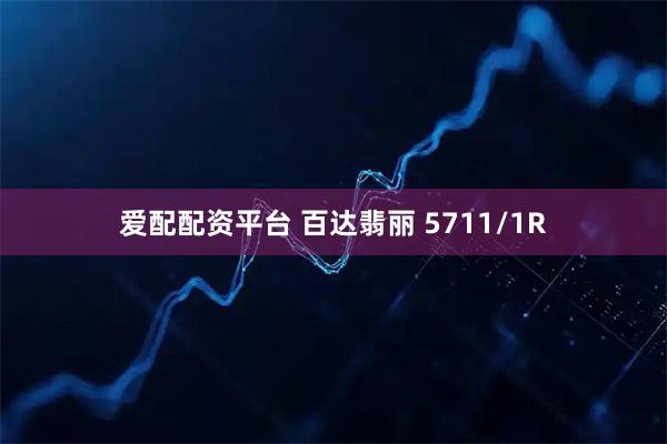 爱配配资平台 百达翡丽 5711/1R